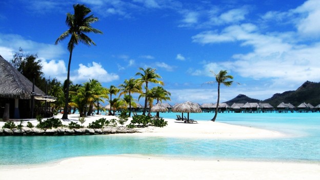 beach-palm-bora-resort-sea-travel-hd